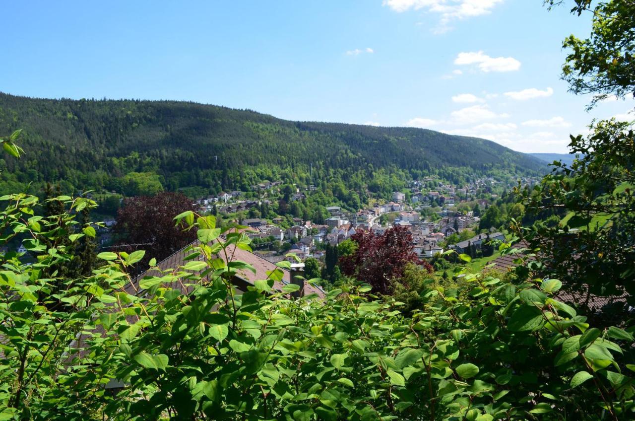 Ferienwohnung Wildbad Sued Bad Wildbad Exterior foto