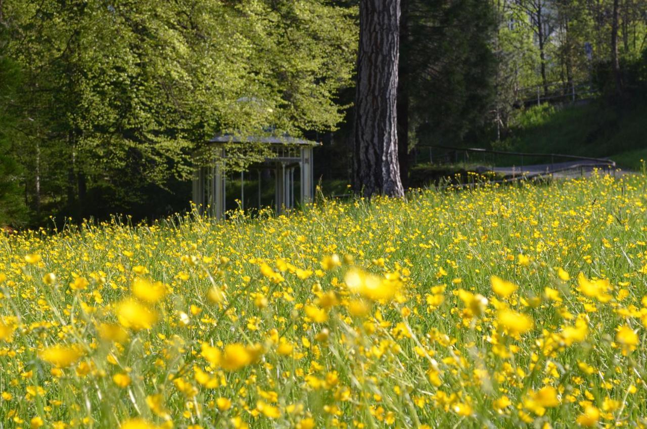 Ferienwohnung Wildbad Sued Bad Wildbad Exterior foto